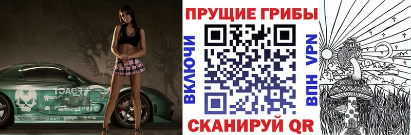 Псилоцибиновые грибы мицелий  где можно купить наркотик  Лабинск 