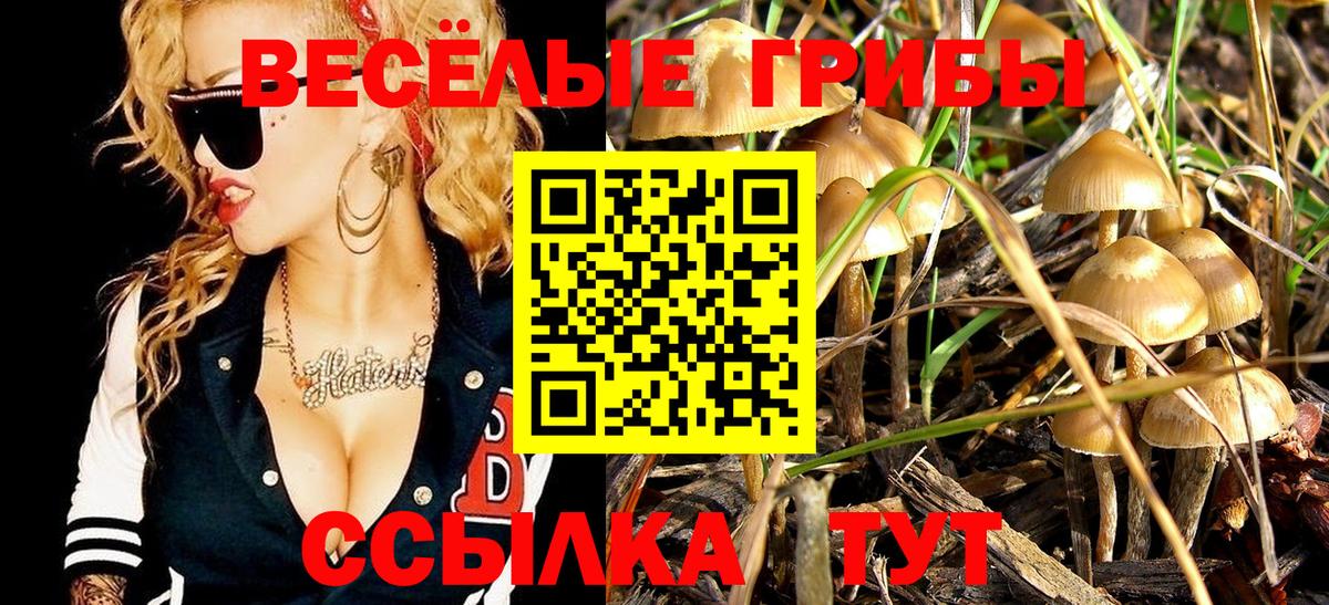 Галлюциногенные грибы прущие грибы Лабинск